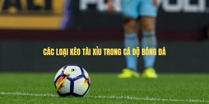 Các loại Kèo tài xỉu trong cá độ bóng đá