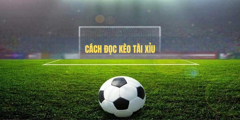 Cách đọc kèo tài xỉu