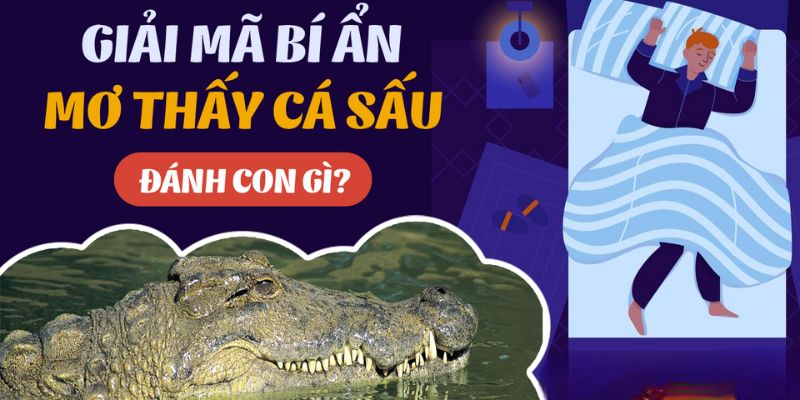 Mơ thấy cá sấu đánh con gì dễ trúng