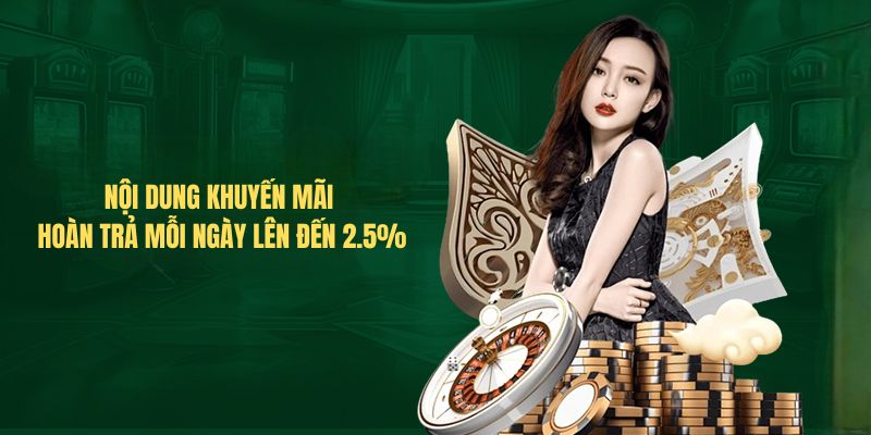 Nội dung Khuyến mãi hoàn trả mỗi ngày lên đến 2.5%