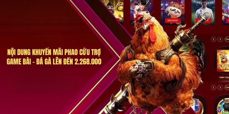 Điều kiện tham gia khuyến mãi phao cứu trợ