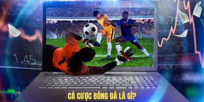 Giới thiệu cá cược bóng đá