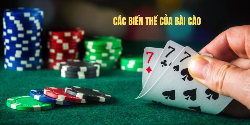 Các biến thể của bài cào