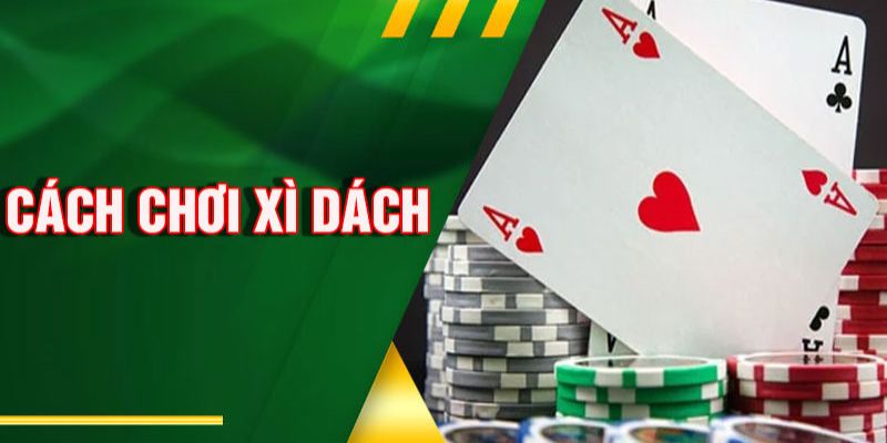 Cách chơi Xì Dách online tại nhà cái TK88