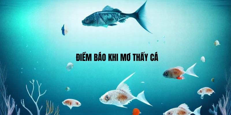 Mơ thấy cá là điềm báo xấu hay tốt?