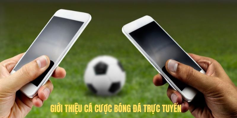 Giới thiệu cá cược bóng đá trực tuyến