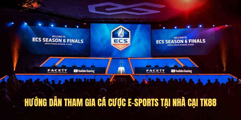 Hướng dẫn tham gia cá cược e-sports tại nhà cại TK88