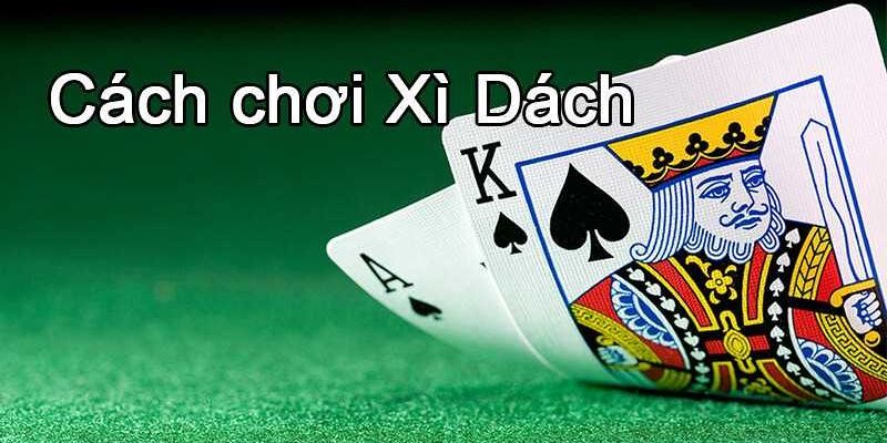 Hướng dẫn cách chơi xì dách cơ bản