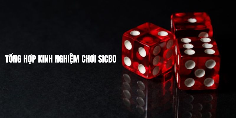 Tổng hợp kinh nghiệm chơi Sicbo