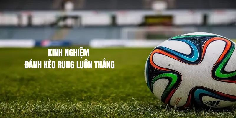 Kinh nghiệm đánh kèo rung luôn thắng