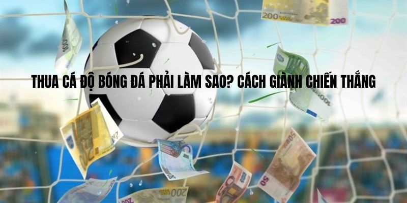 Kinh nghiệm xử lý khi thua kèo bóng đá