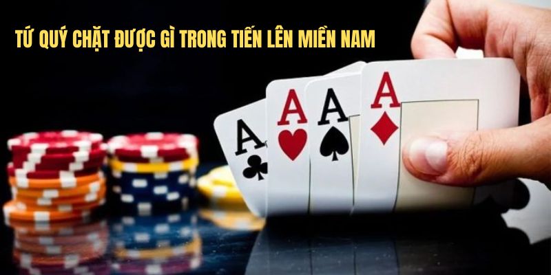 Tứ quý là gì?