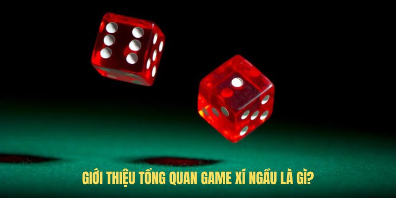 Giới thiệu tổng quan game xí ngầu là gì?